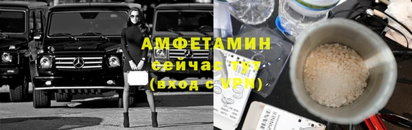амф Зерноград