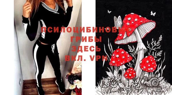 MDMA Premium VHQ Ленинск